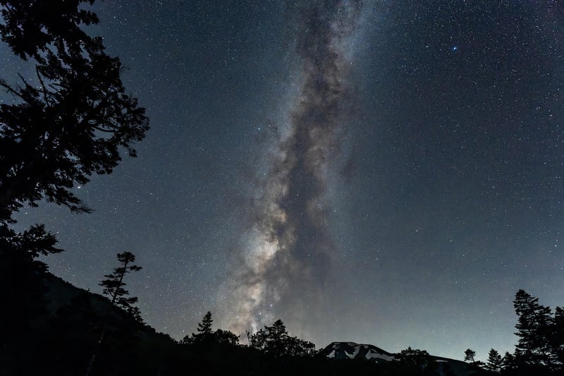 Starlit Sky
